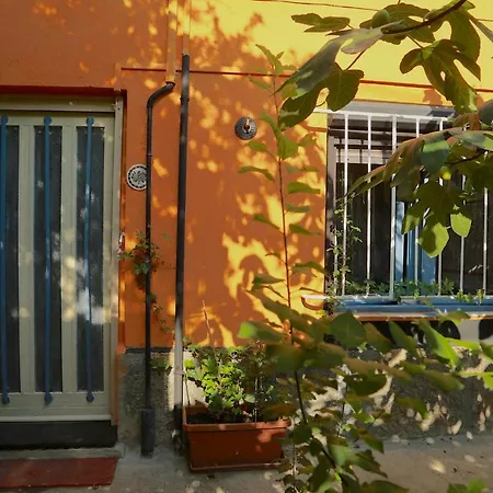 Film Poster Or Coffee Basement With Terrace Apartment *